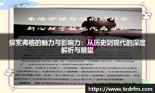 探索弗格的魅力与影响力：从历史到现代的深度解析与展望