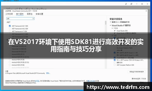 在VS2017环境下使用SDK81进行高效开发的实用指南与技巧分享