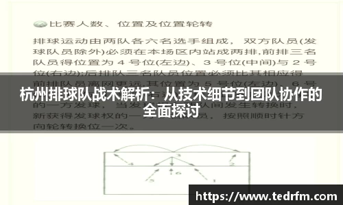 杭州排球队战术解析：从技术细节到团队协作的全面探讨