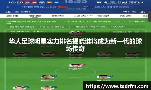华人足球明星实力排名揭晓谁将成为新一代的球场传奇